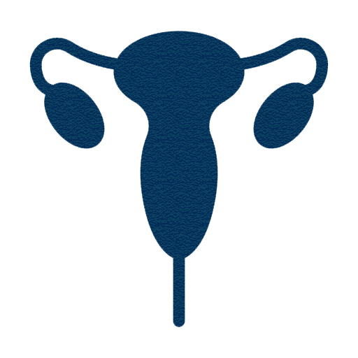 5-piece gynecological instrument set showing uterine manipulator, myoma screw, ring applicator, Vulsellum forceps, and endometrial curette