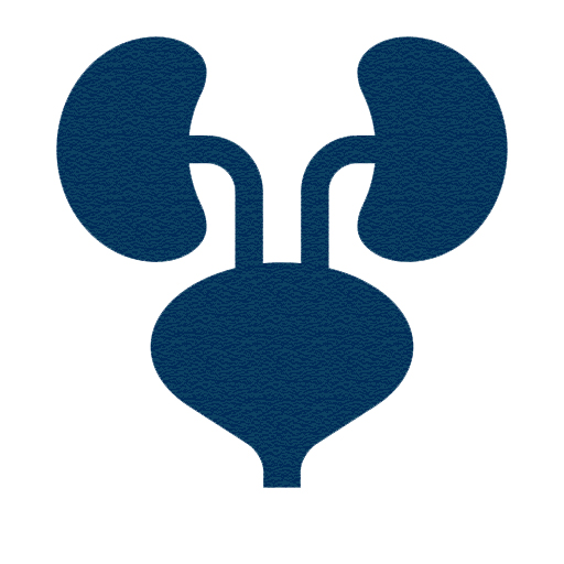 Urology Endoscopy Instrument Set 6-Piece Kit Resectoscope Cystoscope Ureteroscope Stone Retrieval Forceps Lithotrite