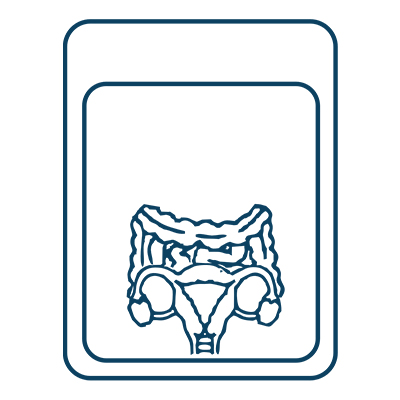 Near real anatomy laparoscopic training on endotrainer with lifelike organs and anatomical landmark visualization